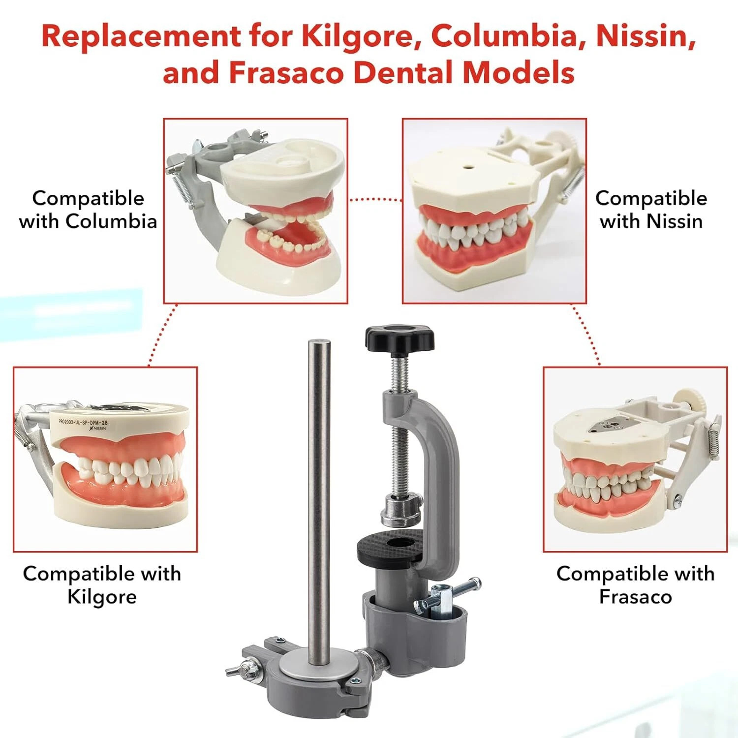 Dental Typodont Mounting Pole & 32 Removable Teeth Model Set - 360° Rotating USA