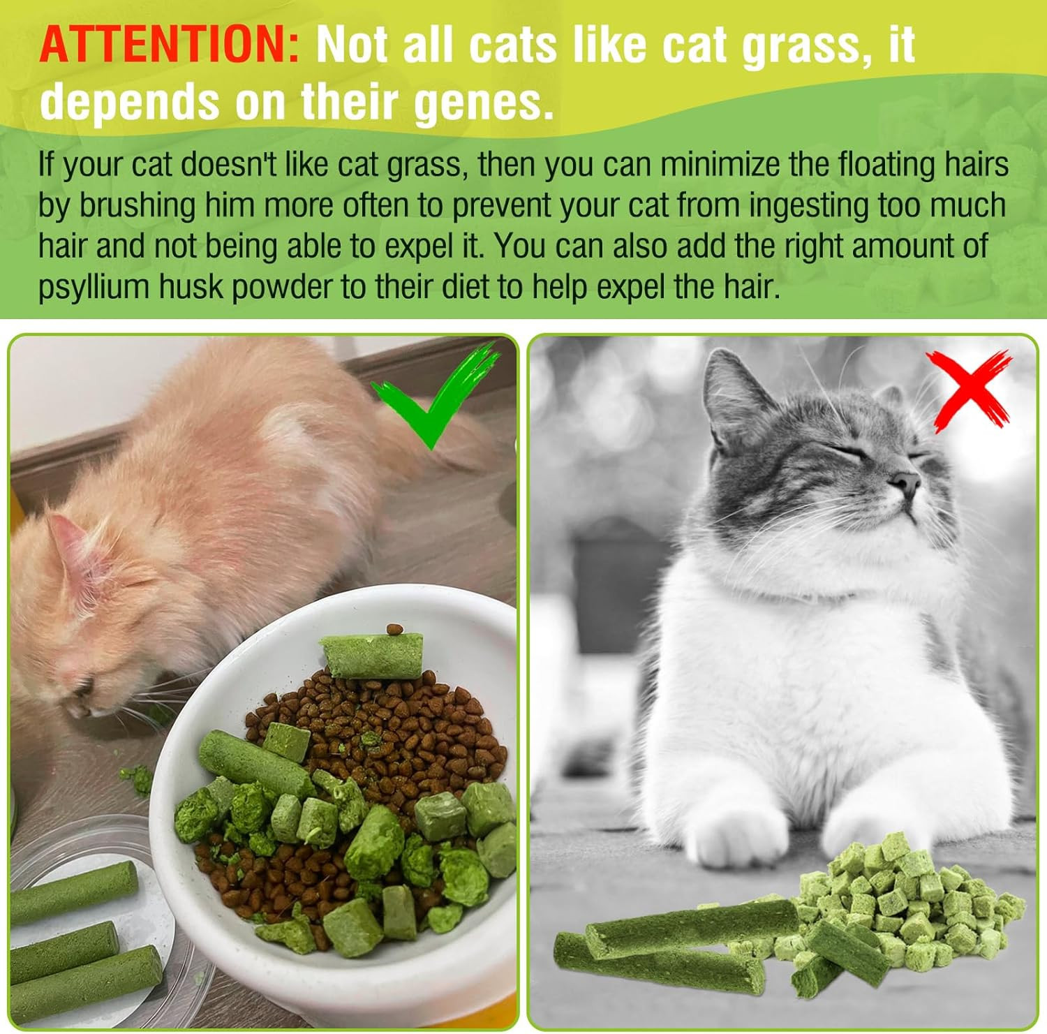 30G Cat Grass Sticks, Delicious Cat Grass Teething Stick Edible Cats Chew Toy Ca