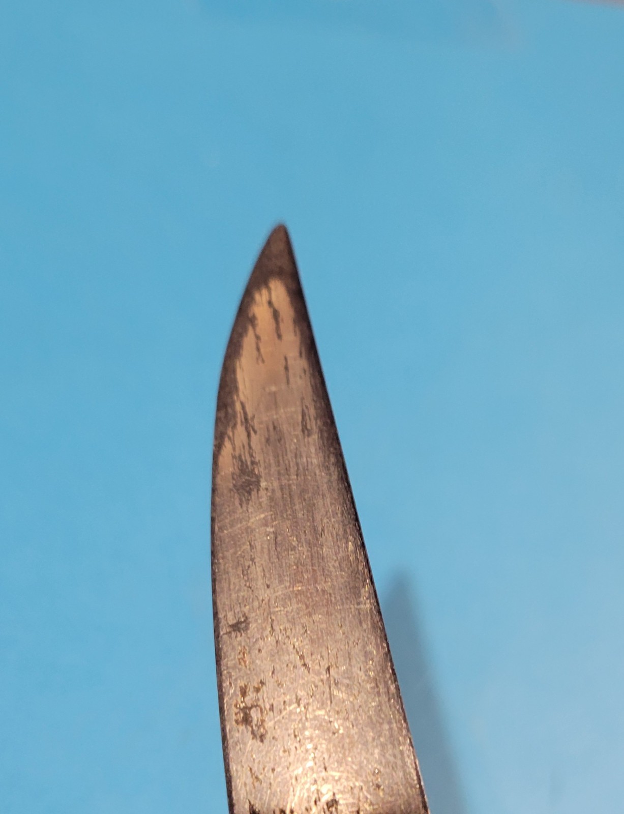 Model 1902 US Army Military Cavalry Sword Sabre Henry V Allien Wood Grip Etched