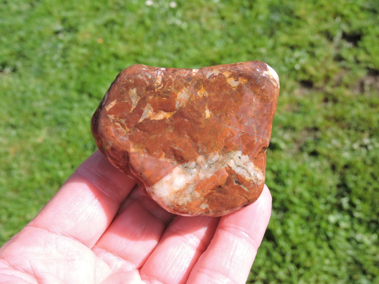 Lot of 🌈 Tumbler Size RAINBOW MIXED STONES from PNW (11.5 lbs) WEST COAST ROCKS