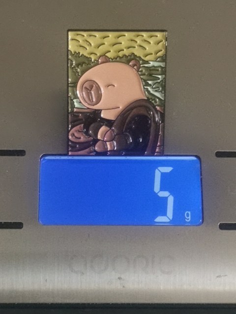 CAPYBARA FUNNY Pin Badge Patch New High Quality