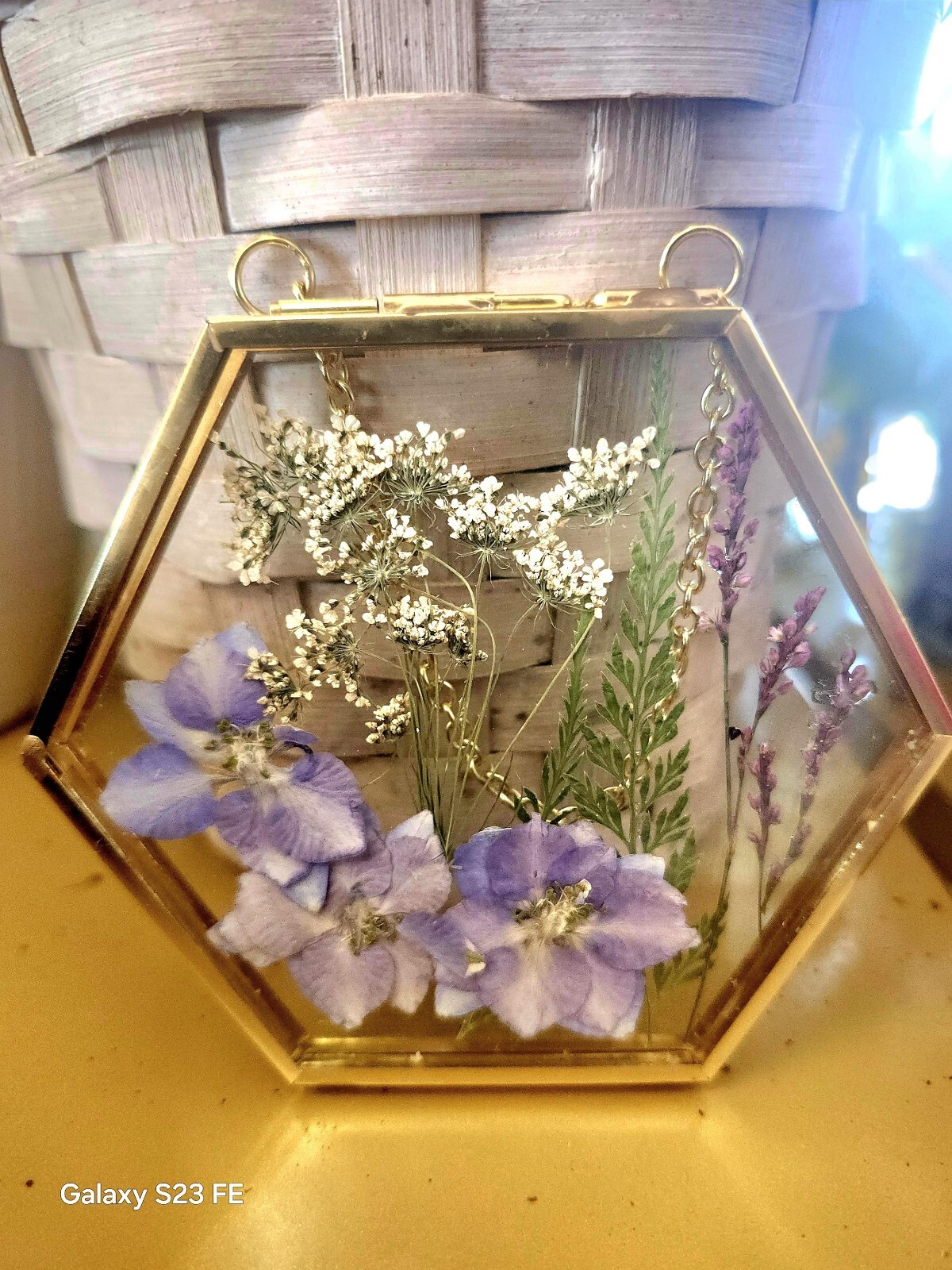 Wall Art Dried Pressed Real Flowers in Glass frame hexagon 3.5 in handmade gift