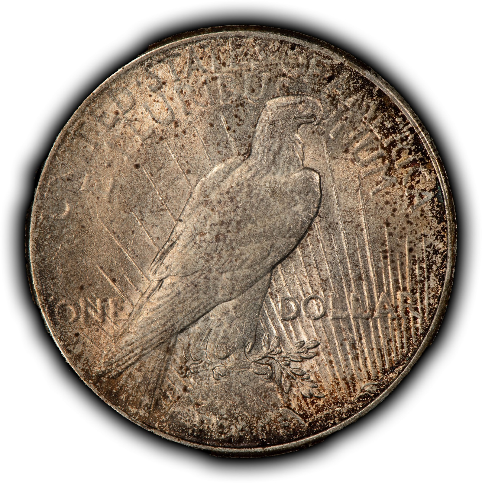 1925 $1 Silver Peace Dollar - PQ Neon Accent Toning - SKU-D7666