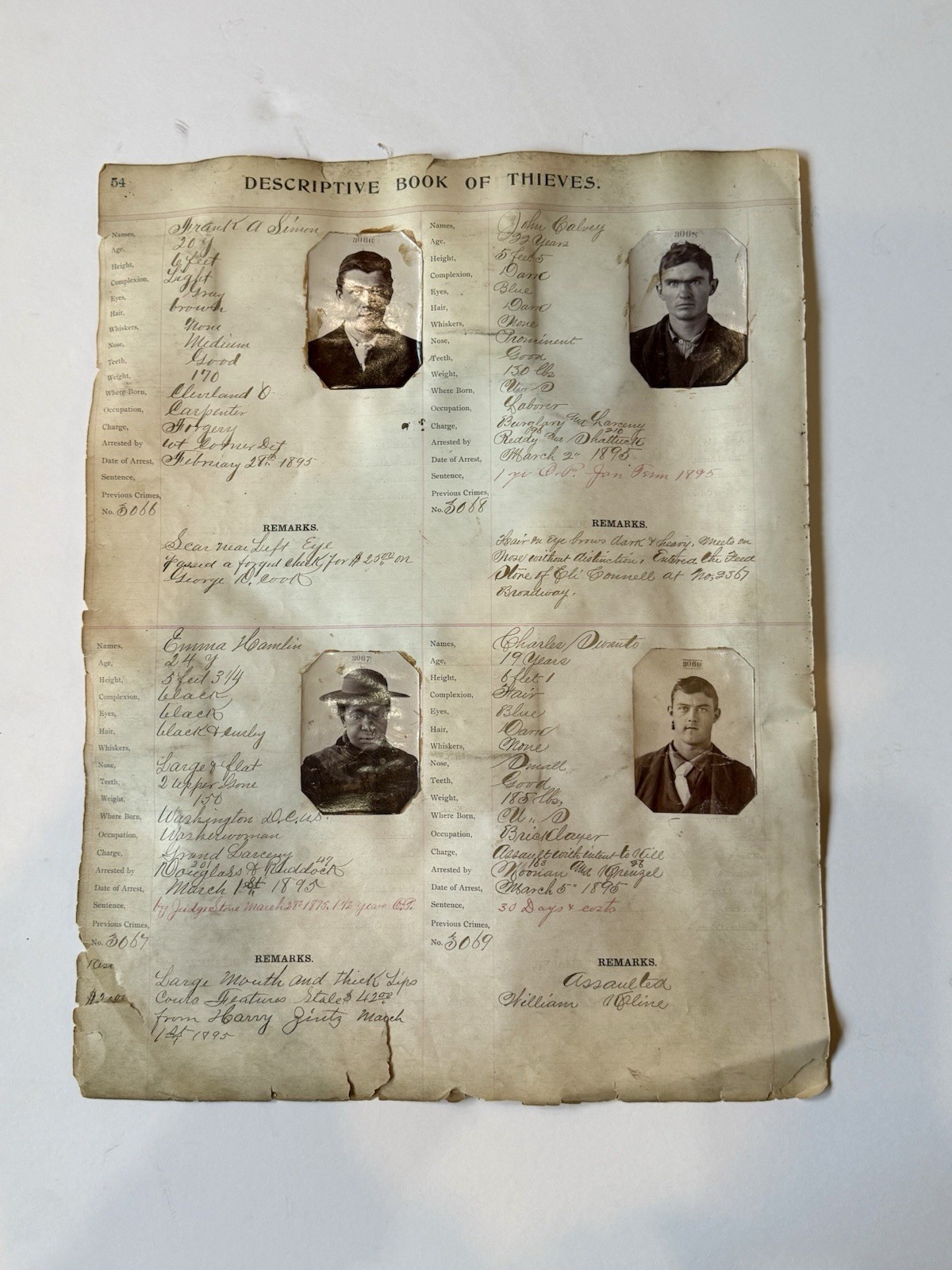 Original 1895 ARREST RECORDS POLICE PHOTO MUG SHOTS THIEVES 19th Century Prison