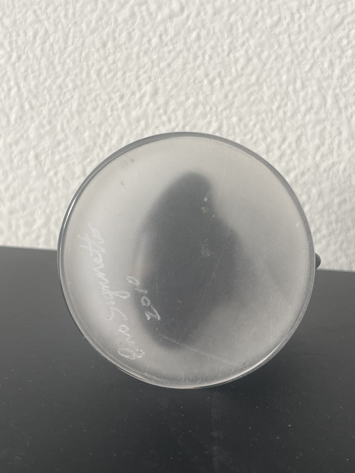 Maestro Pino Signoretto Murano Art Glass Head Bust Sculpture Portrait Study 2010