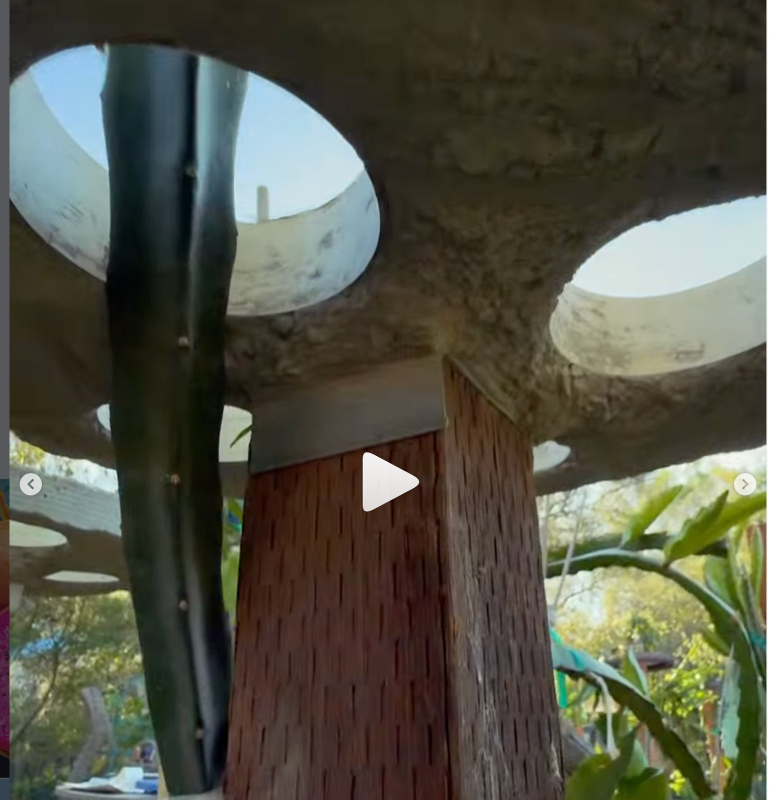 Dragon Fruit Trellis Topper with FREE LED SOLAR LIGHT Screw Direct to 4x4 Post