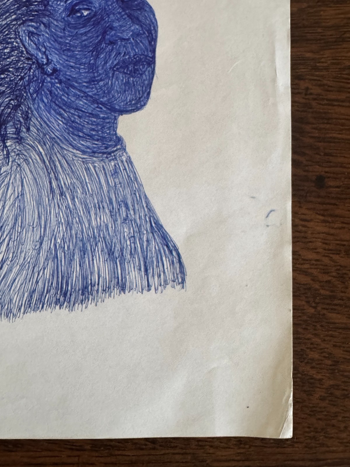 Original Young African-American Woman Blue Ballpoint Pen Portrait Drawing 9"x12"