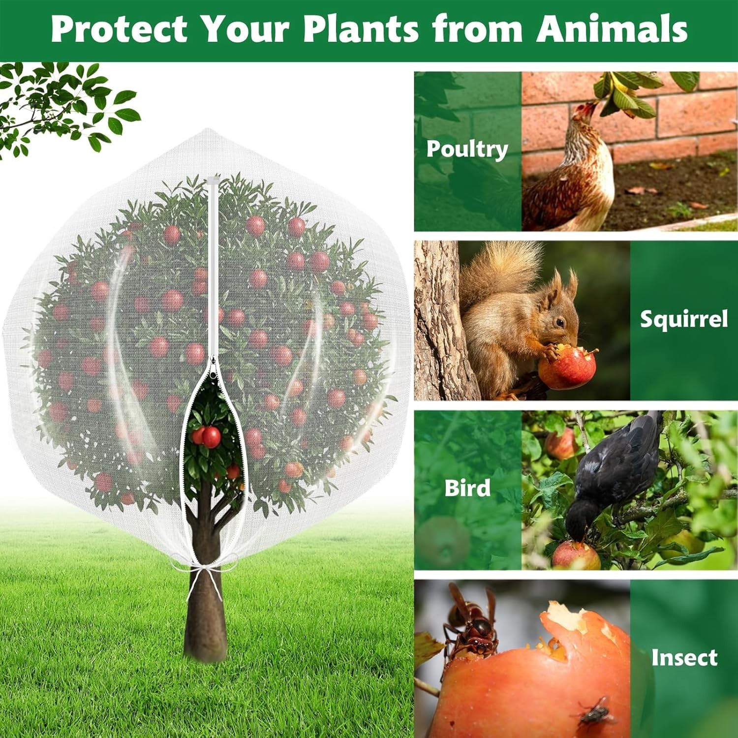 OZMI 4PCS Fruit Tree Blueberry Bush Netting Cover, 2.3X3.4 FT Bird Netting for G