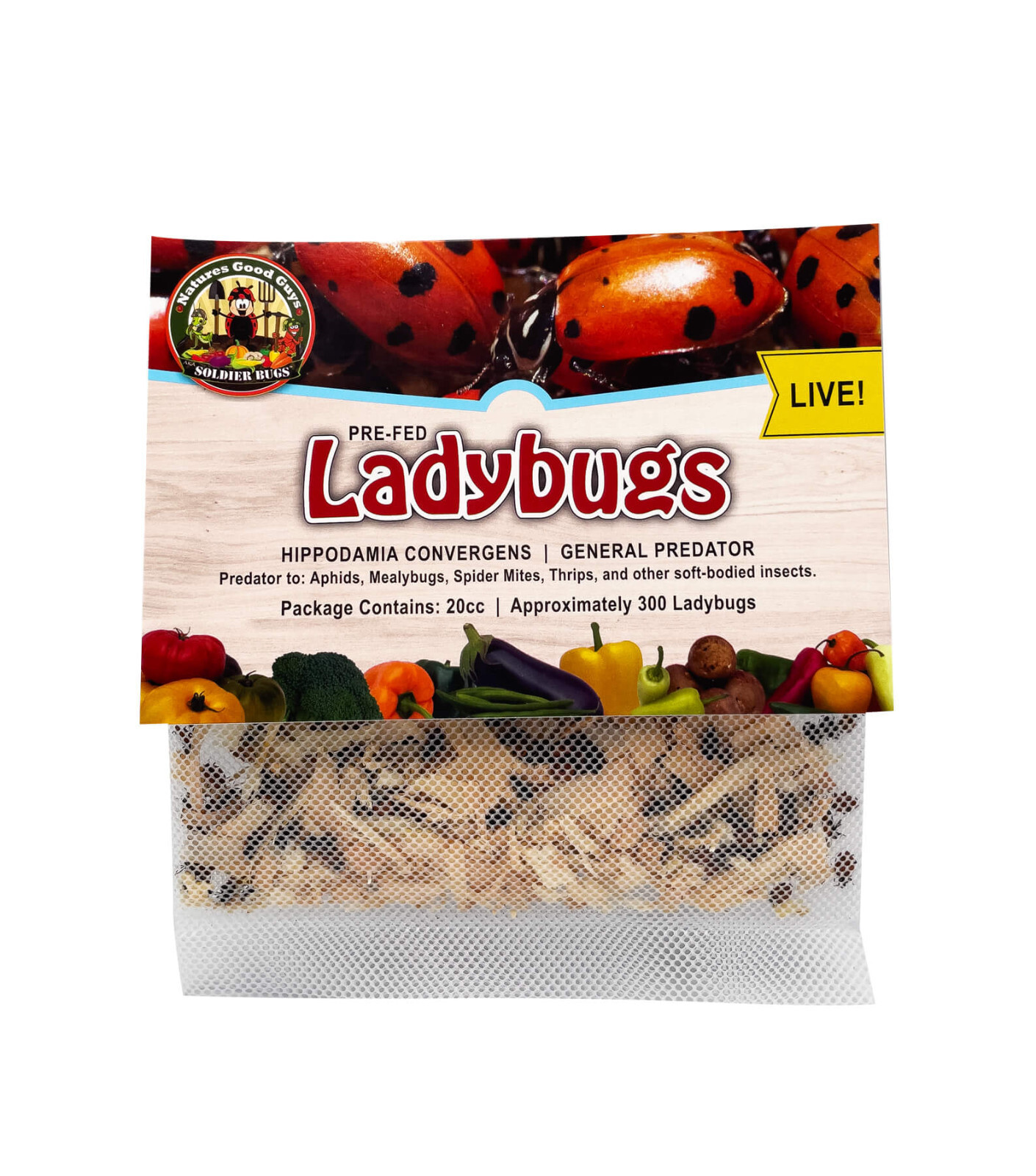 NaturesGoodGuys - Live Ladybugs - General predators