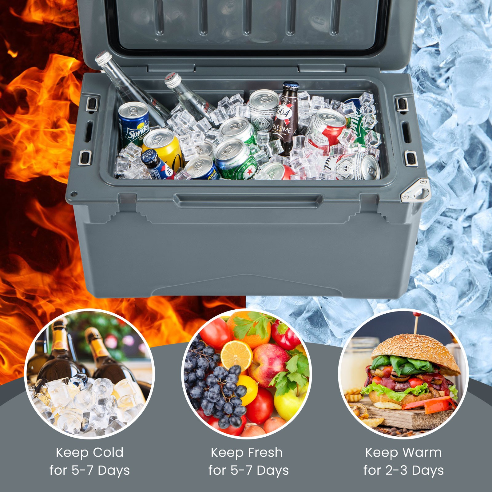 30 QT Rotomolded Cooler Portable Ice Chest Ice Retention for 5-7 Days