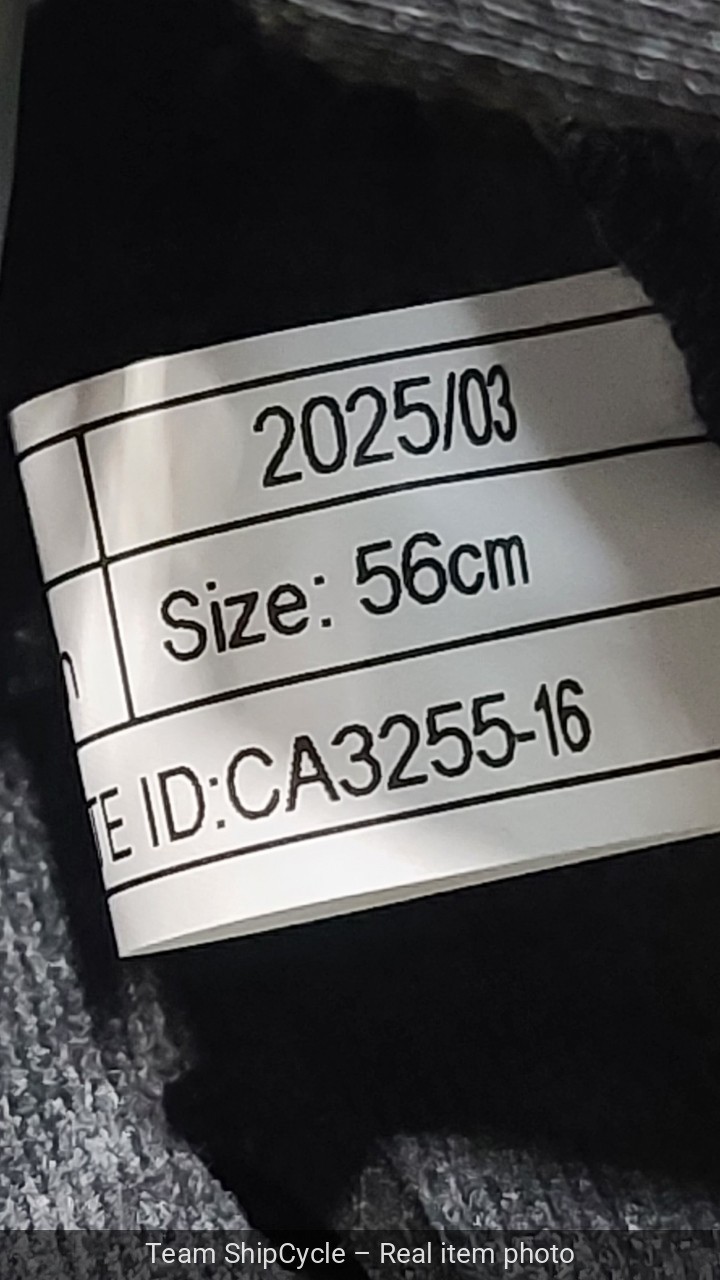 U26430 Zamp H753C3956 RZ42Y Youth Helmet 56cm GreenSilver Snell CMR2016 G2U