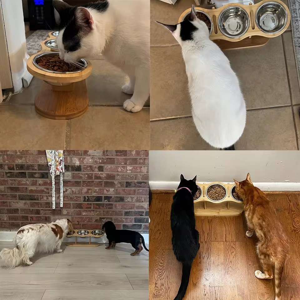 Elevated Cat Bowls Raised Food Bowls 15° Tilted Pet Bowls for Cats and Small Dog