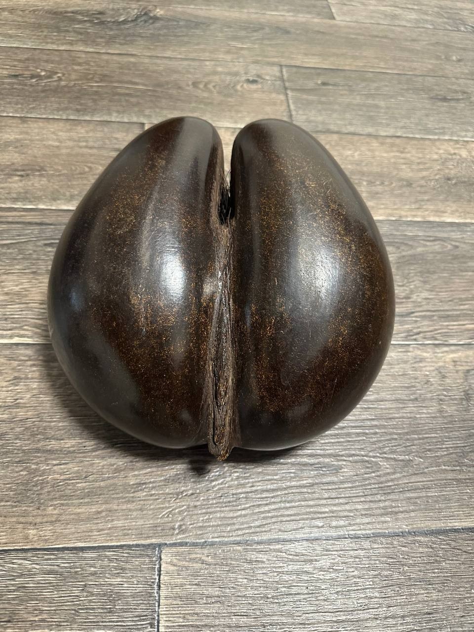 Antique Coco De Mer Nut Seed Basket