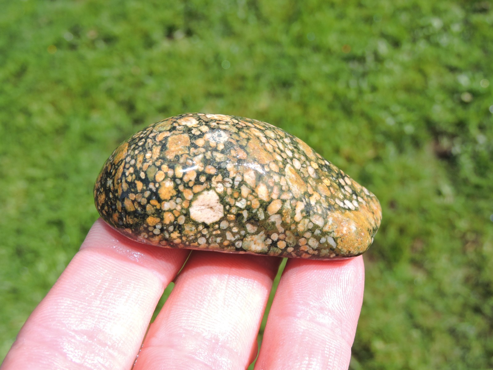 Lot of 🌈 Tumbler Size RAINBOW MIXED STONES from PNW (11.5 lbs) WEST COAST ROCKS