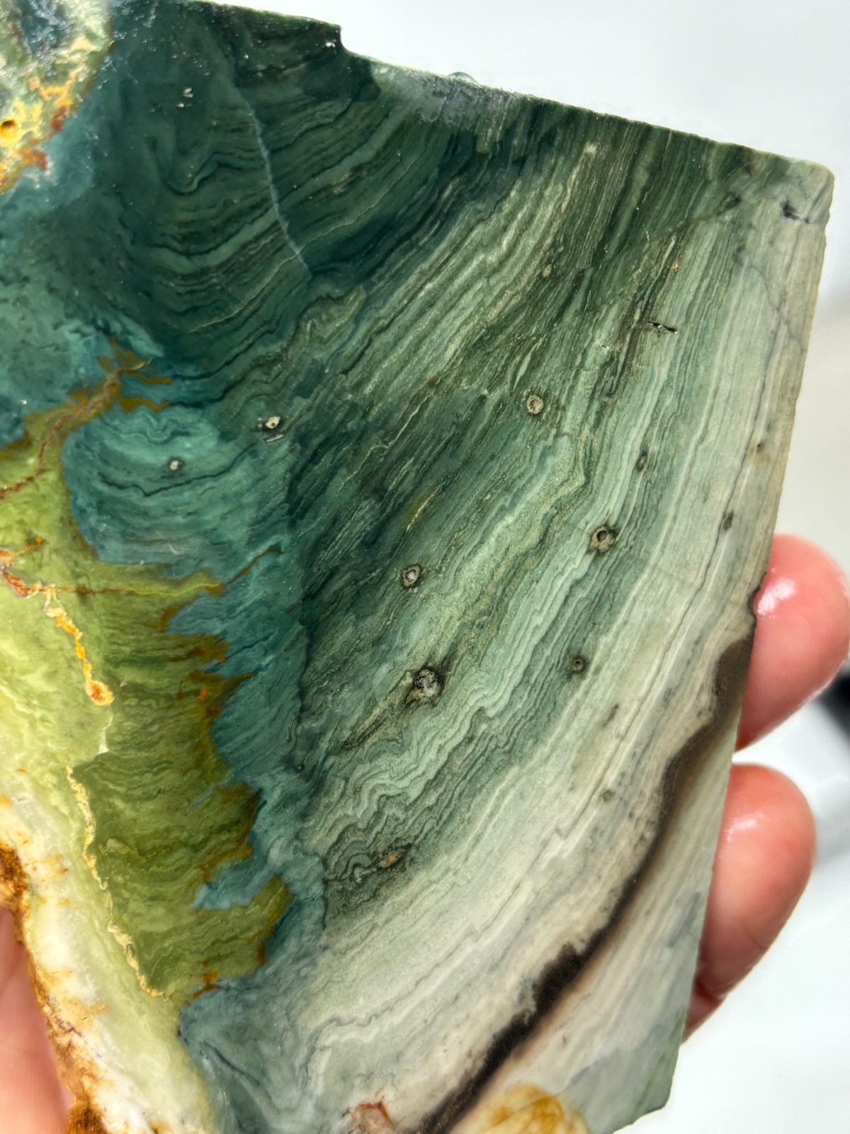 Gary Green Caldera Freedom Jasper Slab Cabbing Lapidary Combo Ship Avail