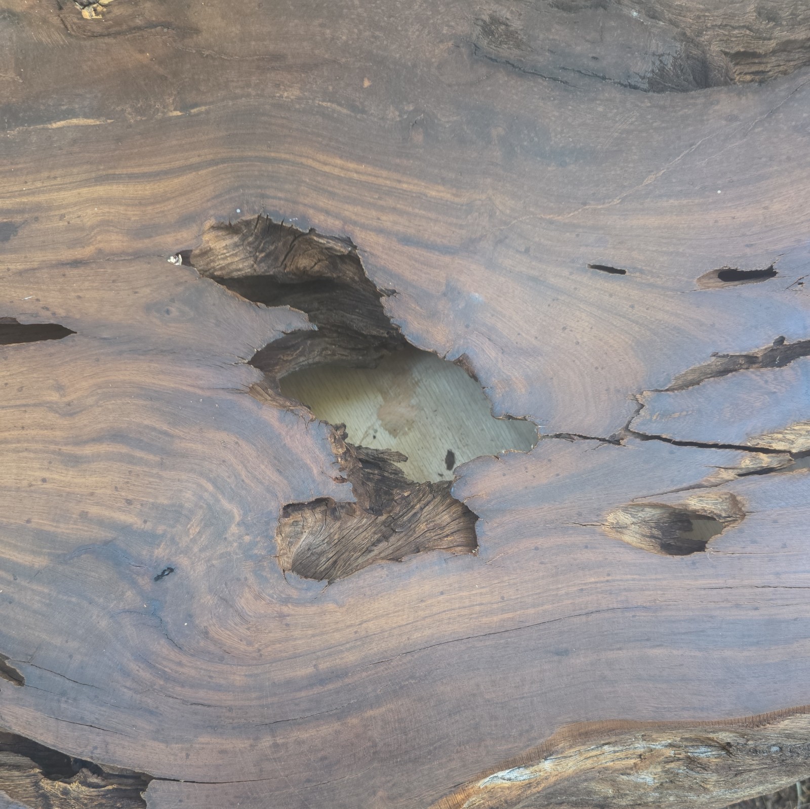 Desert Ironwood Live Edge Slab Epoxy Resin River Table Woodworking Art Mill Log