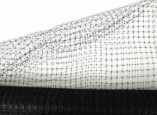 Garden Fence Landscape Deer Fencing Animal Protects Strong Netting 7x100 Borders