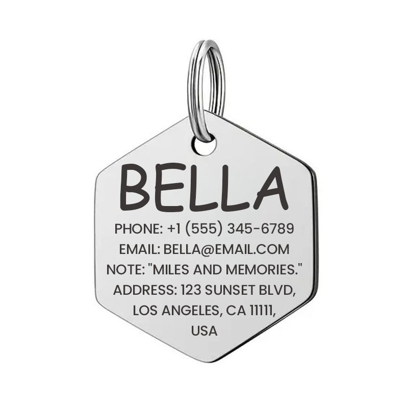 Personalized Hex Stainless Steel Dog Tag Pet Tag Placa de Identificación Perro