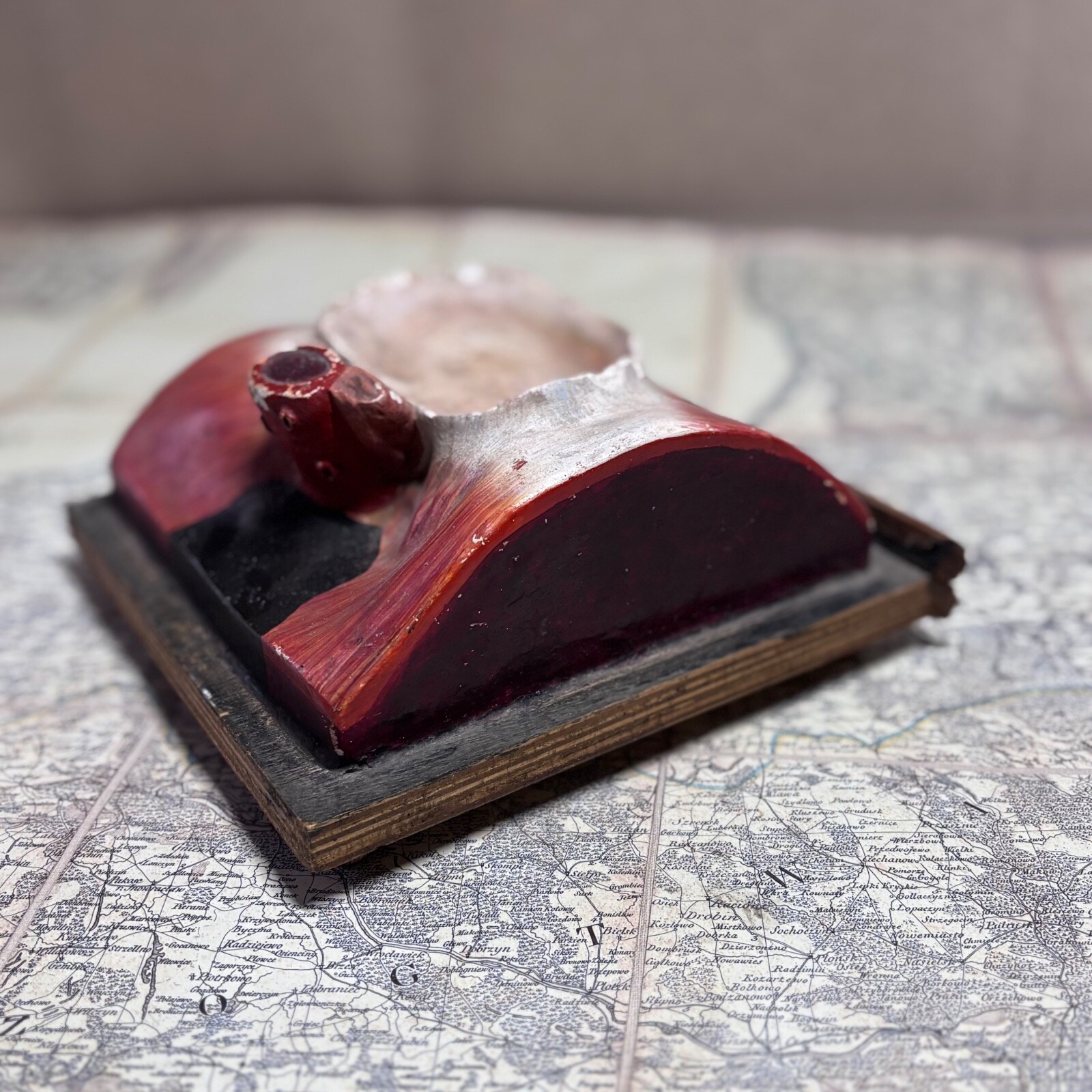 Rare 1930s Soviet Anatomical Model Dissectible Heart & Pelvic Vascular Section