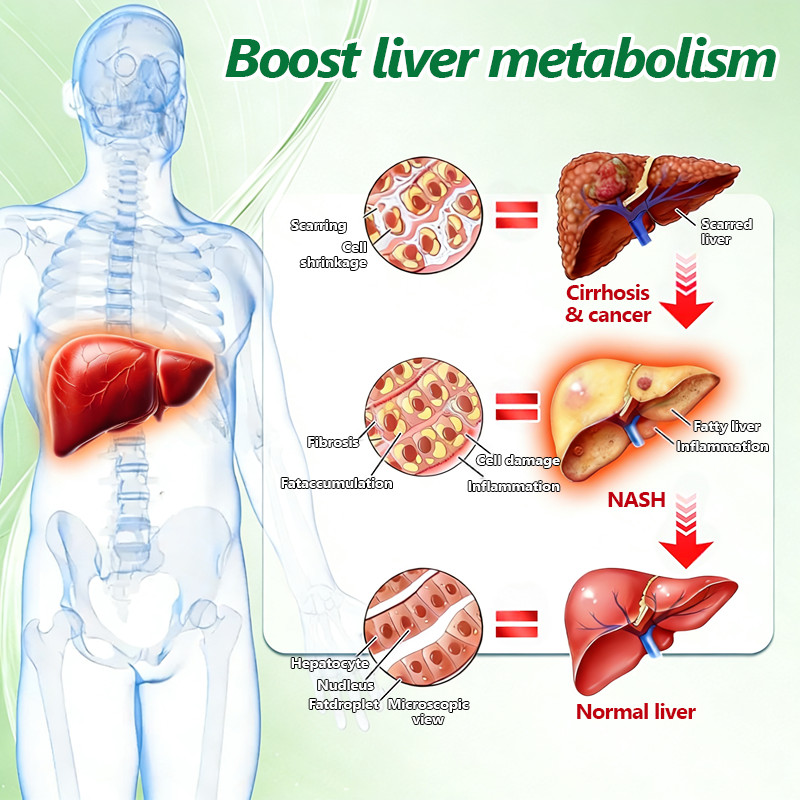 MURWON 10 in 1 Metabolic Patch, Nano Fusion Weight Management Anti-Aging Patches