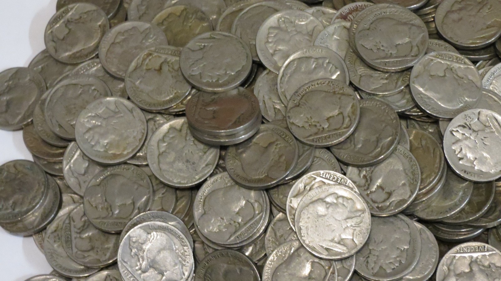 500 Buffalo Nickels Bulk Lot P Mint Only Part Date to Strong Part Date 5c Coins