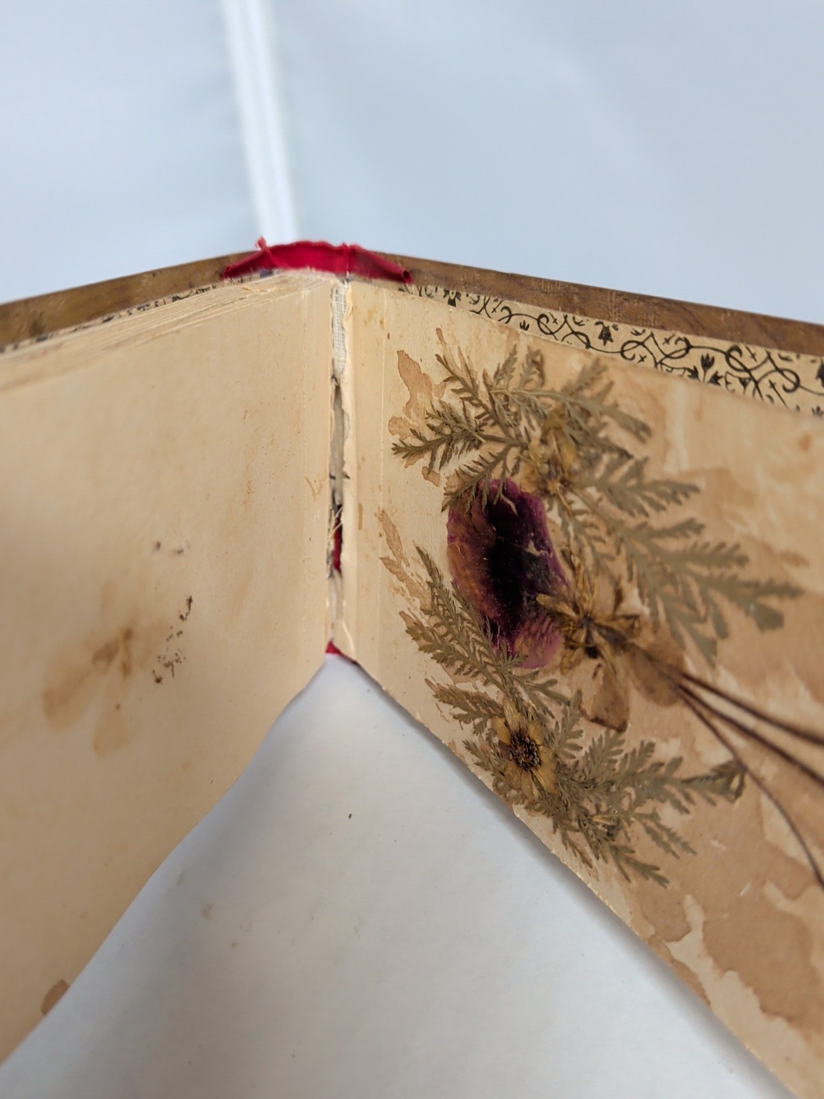 ANTIQUE Pressed Dried FLOWERS FROM ISRAEL Book OLIVE WOOD CARVED COVERS C4