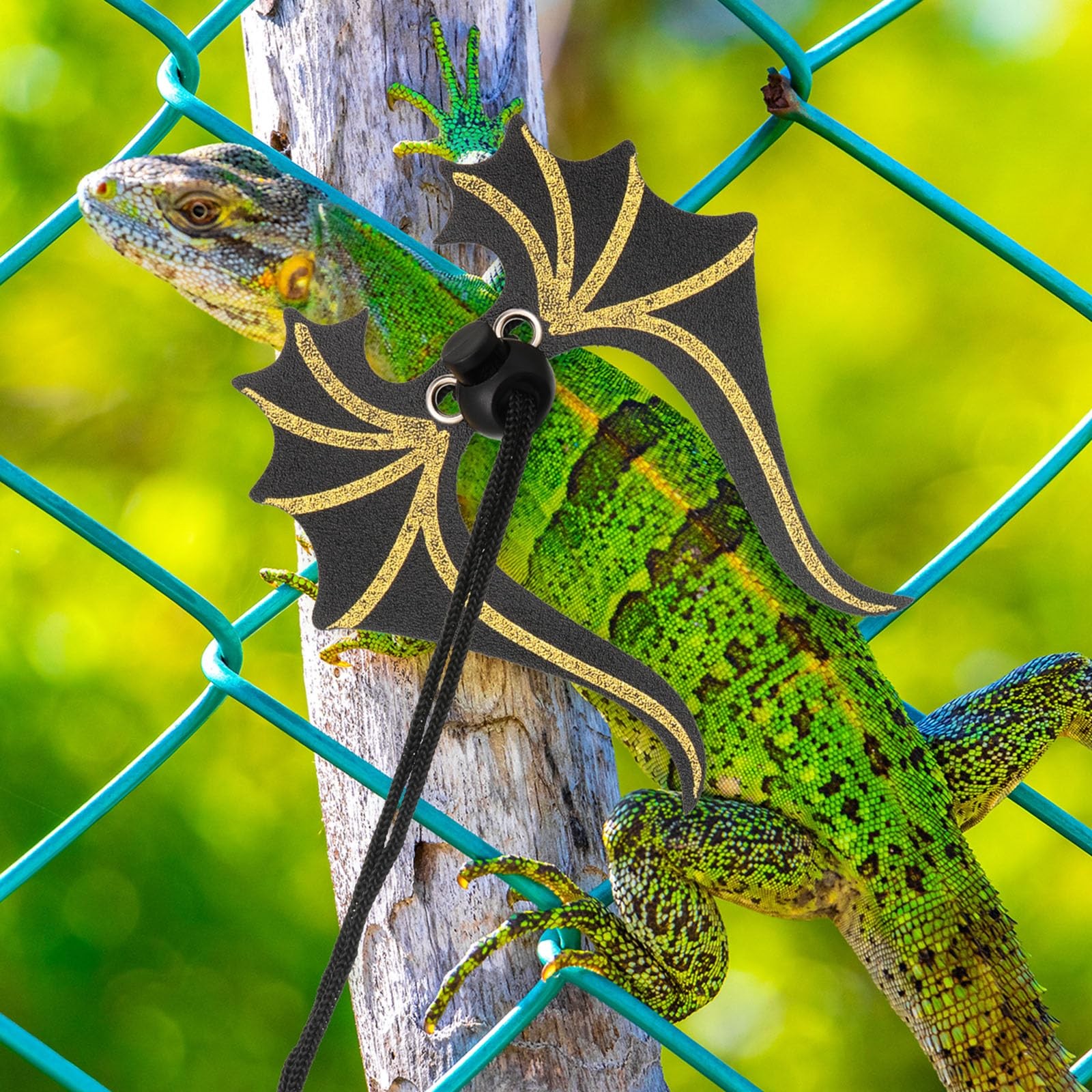 Bearded Dragon Leash and Harness Set 3 Size Pack Adjustable Cool Leather Lizard