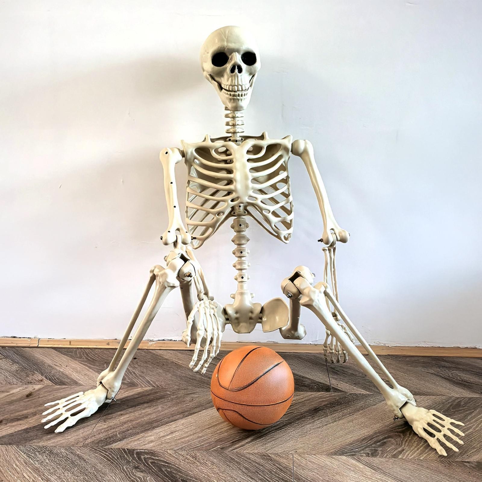 Halloween Realistic Body Bones Life Size Human Skeleton with Posable Joints