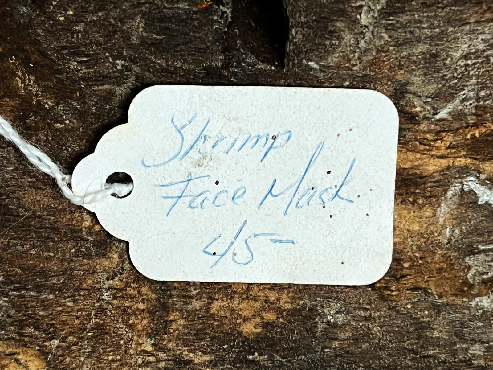 MEXICAN GUERRERO WOOD SHRIMP LOBSTER MASK DIA DE MUERTOS DAY OF DEAD CARNIVAL