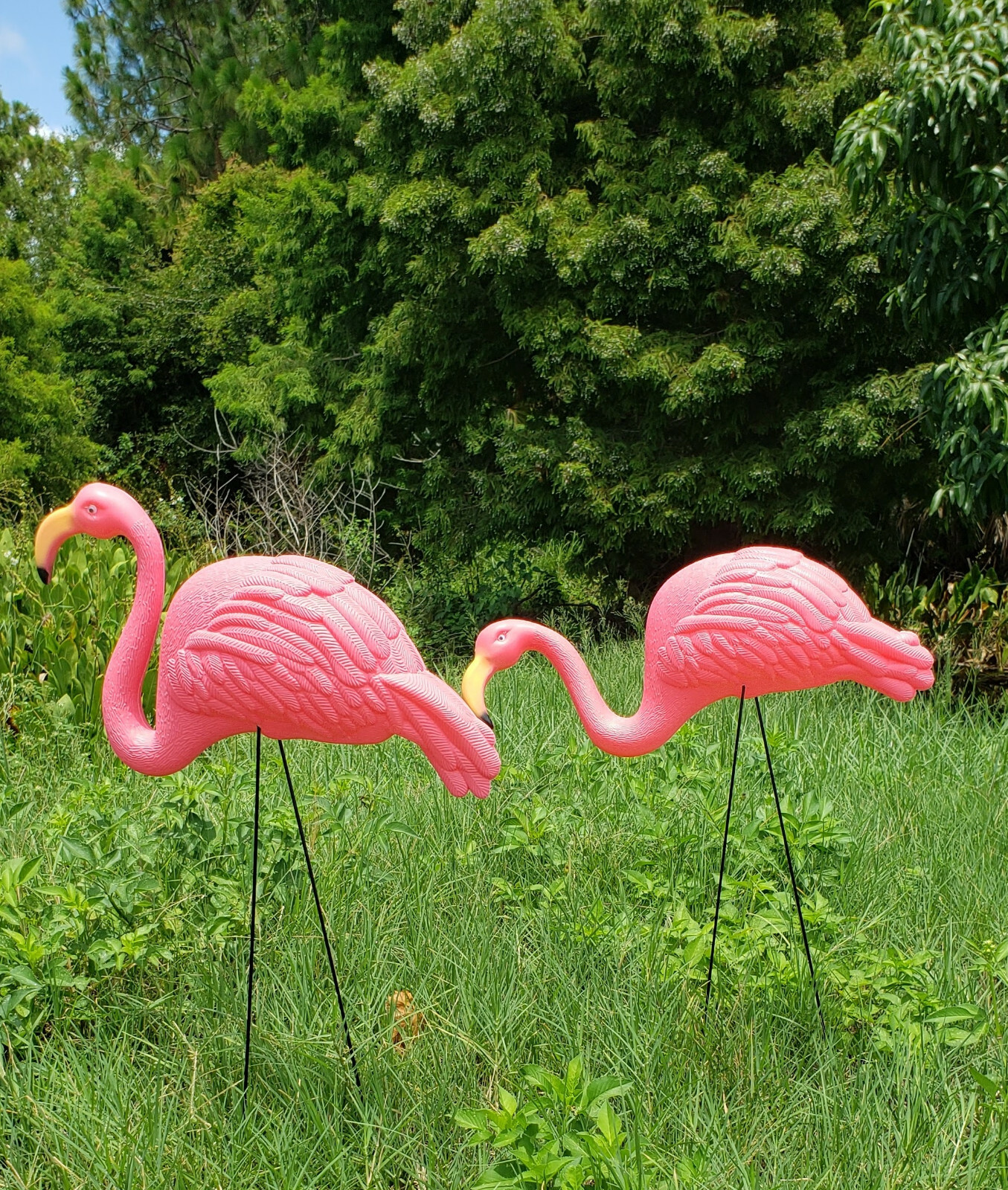 Large Pink Flamingo Yard Ornaments (Pack of 2 Different Designs) Tall. Great