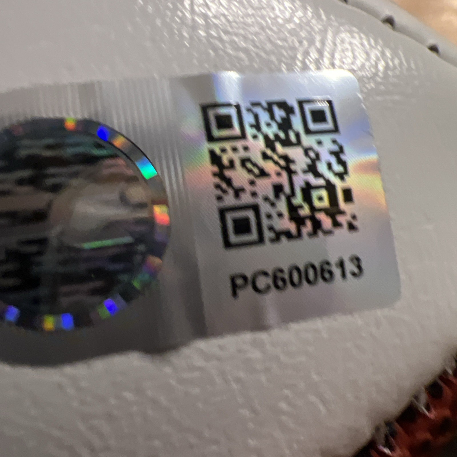 Howie Long & Tim Brown Autographed Oakland Raiders Logo Football HOF Hologram