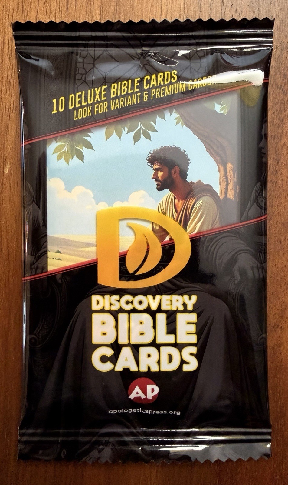 Discovery Bible Cards - One Pack of 10 - Deluxe - Christian Education God Jesus