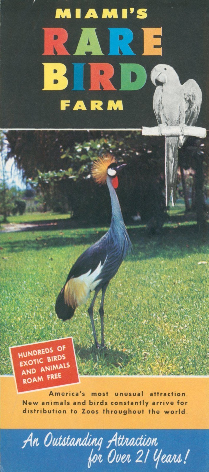 Vintage Miami's Rare Bird Farm Tourist Brochure 1950's Kendall Florida