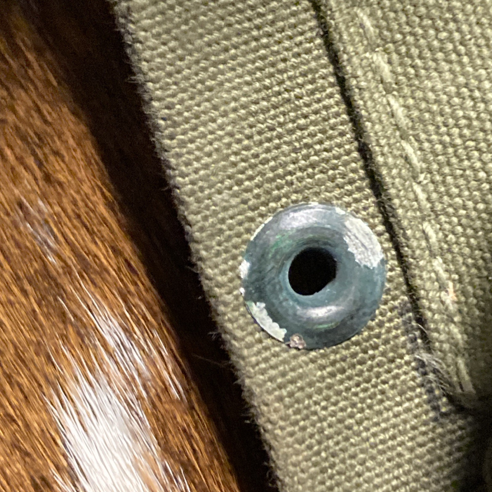 WWII Era US Army M1937 BAR Magazine Belt - Original Nice Condition JQMD-51