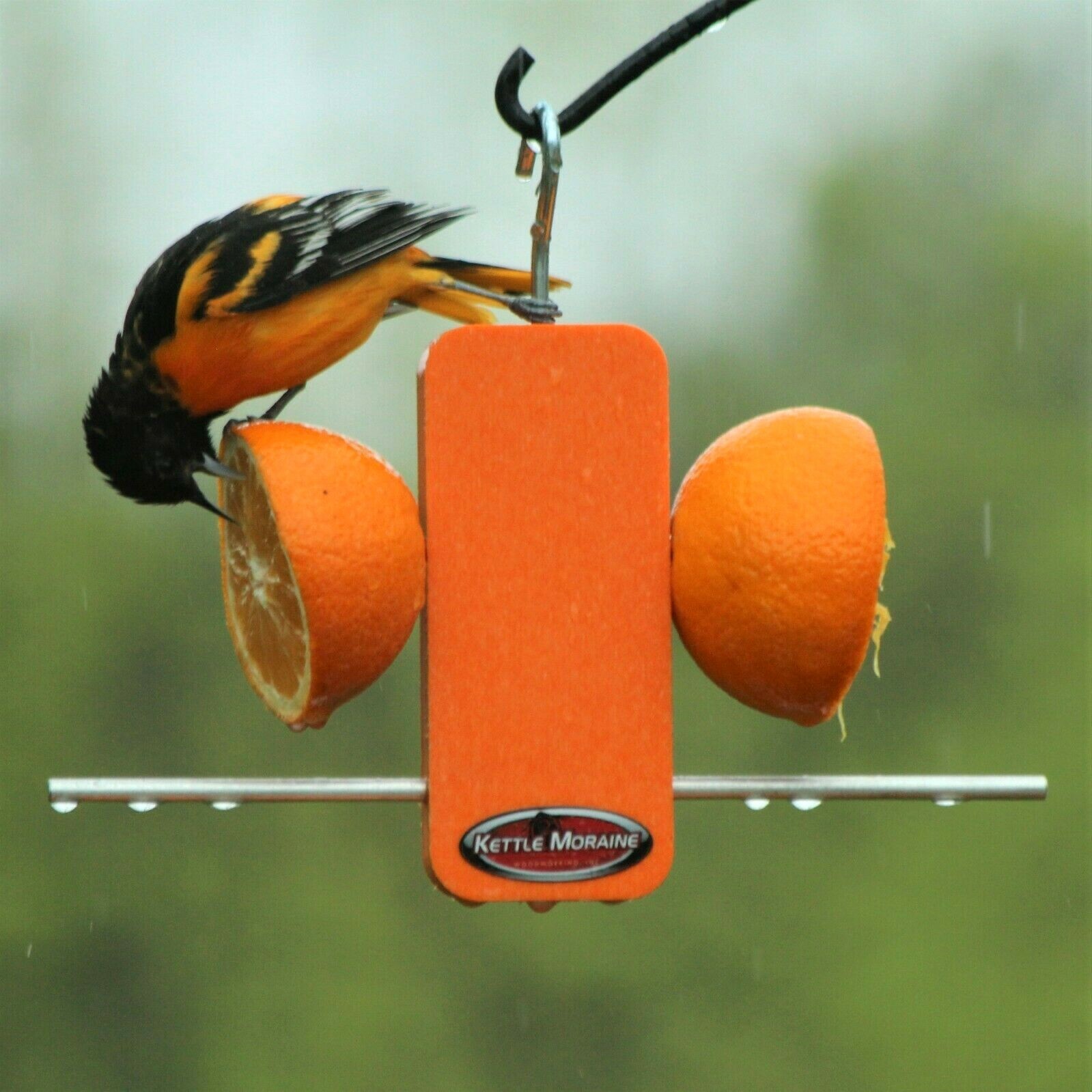 Kettle Moraine Recycled Plastic Single Oriole Orange Fruit Stick Feeder #8337