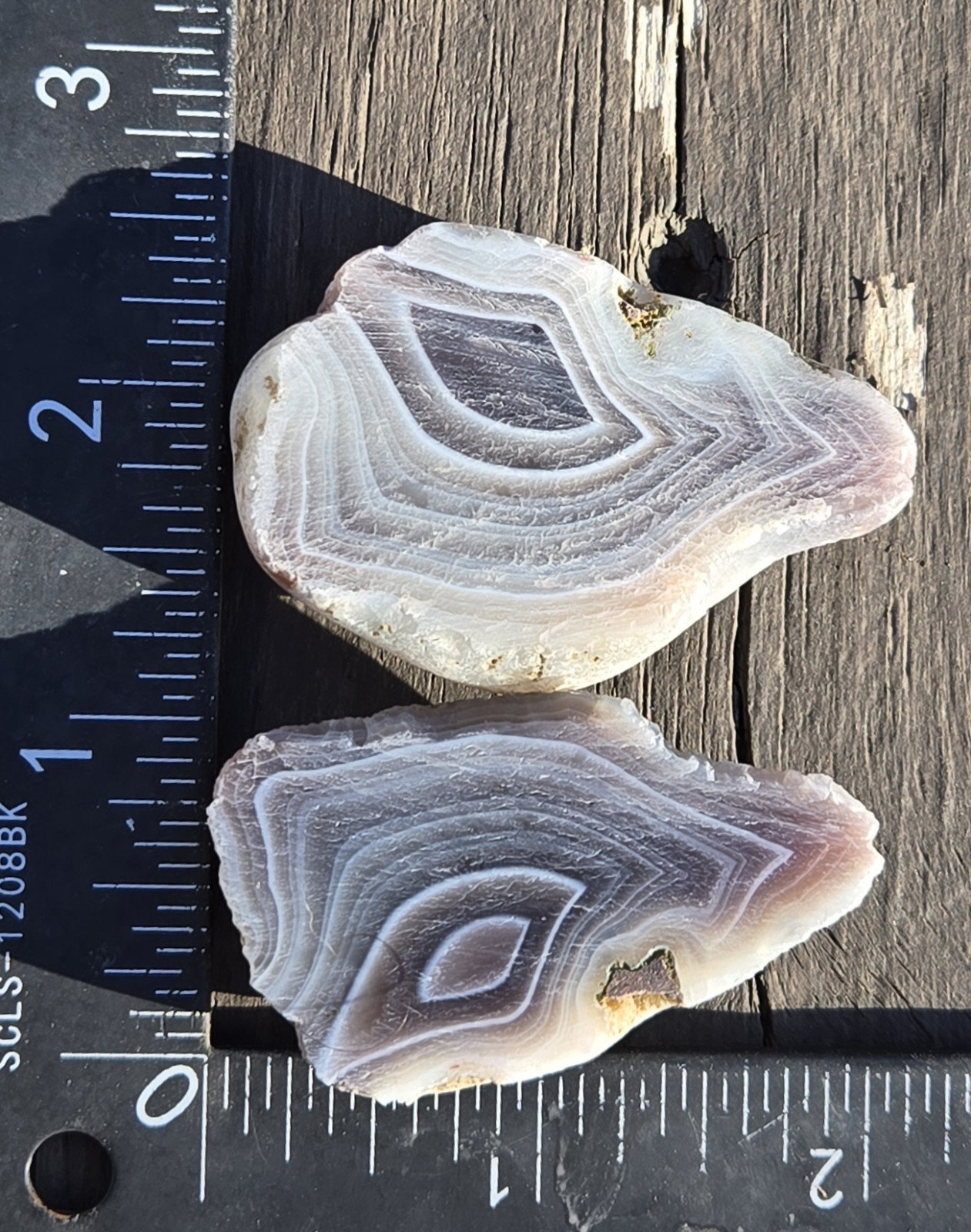 Botswana Agate Cut In Half - Rough, Natural, Not Polished