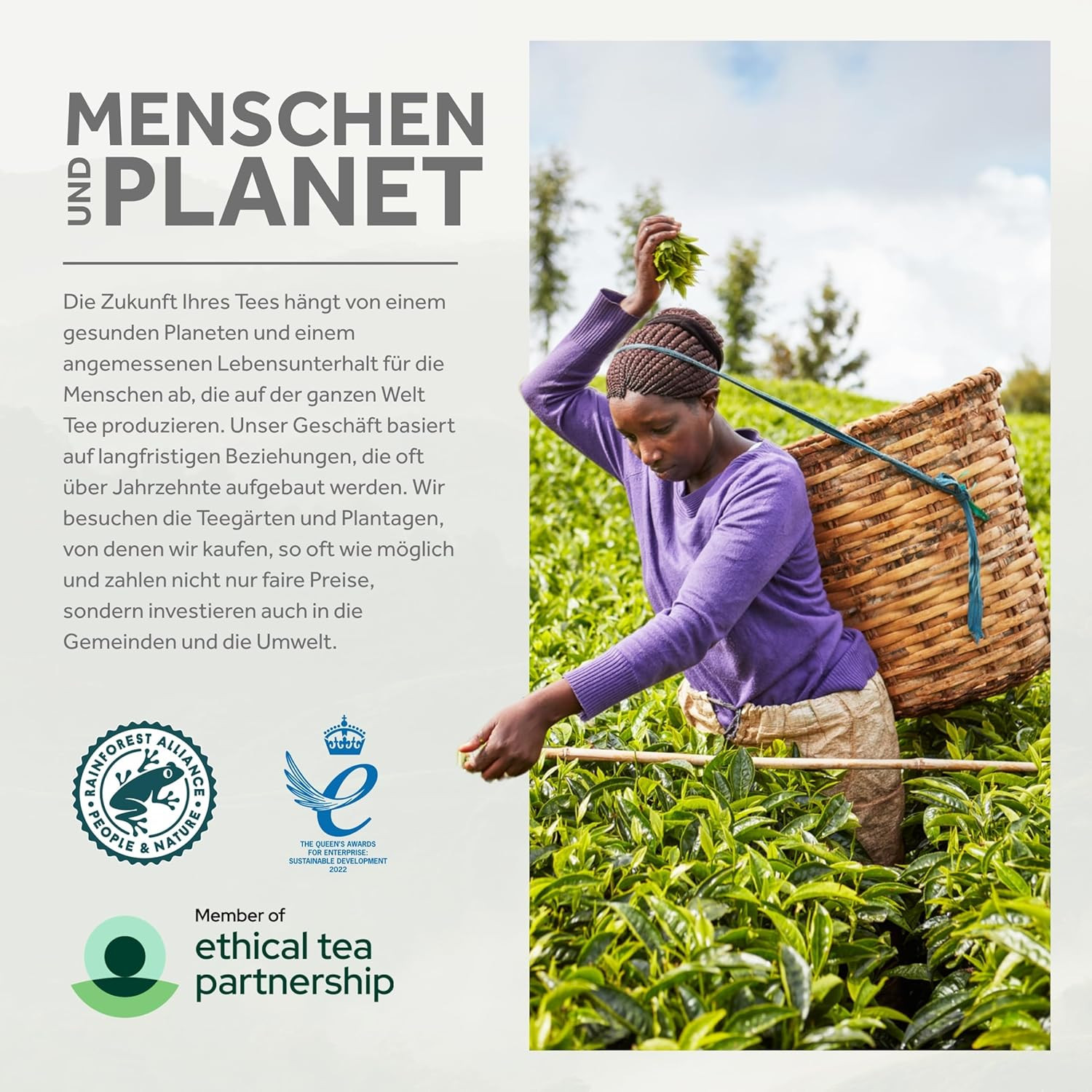 Yorkshire Tea, Gold, Pillow Tea Bags, 160 Count (Pack of 1), Premium Blend, Rich