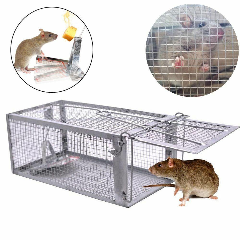 1-3x Live Humane Cage Trap For Squirrel Chipmunk Rat Mice Rodent Animal Catcher