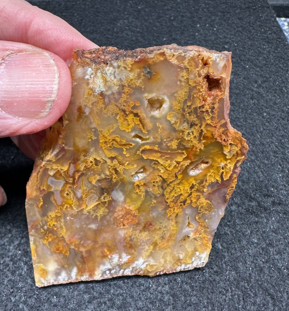 Graveyard Point Plume Agate slab, great for cabbing 2.11oz (#1048)
