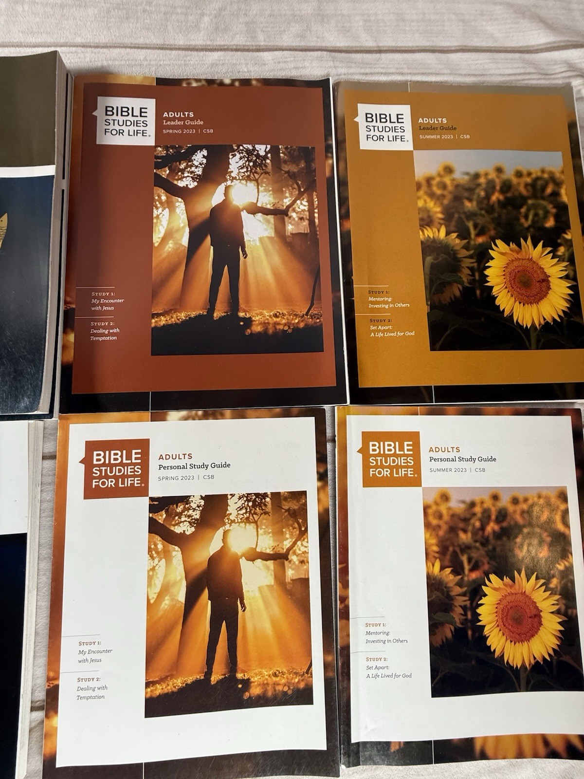 LOT OF Explore & Bible Studies For Life LifeWay Adults Leader/Personal Mixed