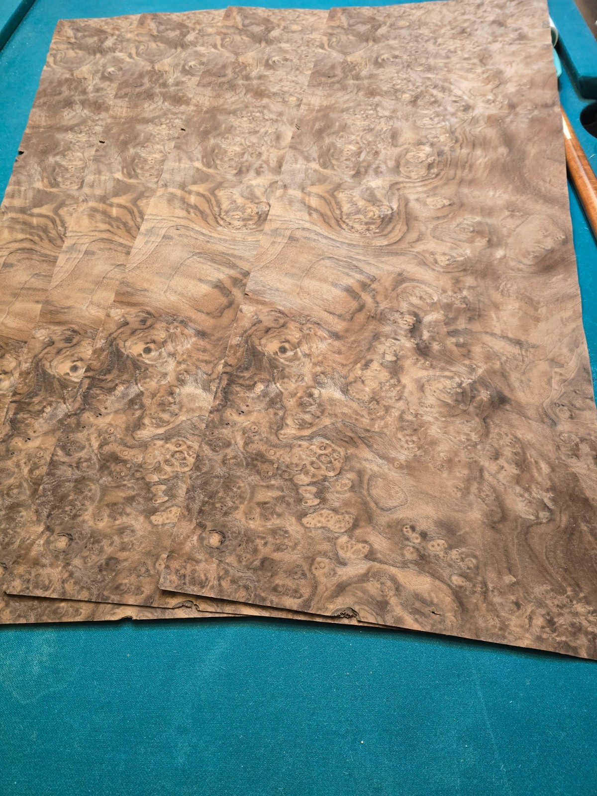 natural walnat burl wood veneer sheet 43" x 14,5" x 0,03