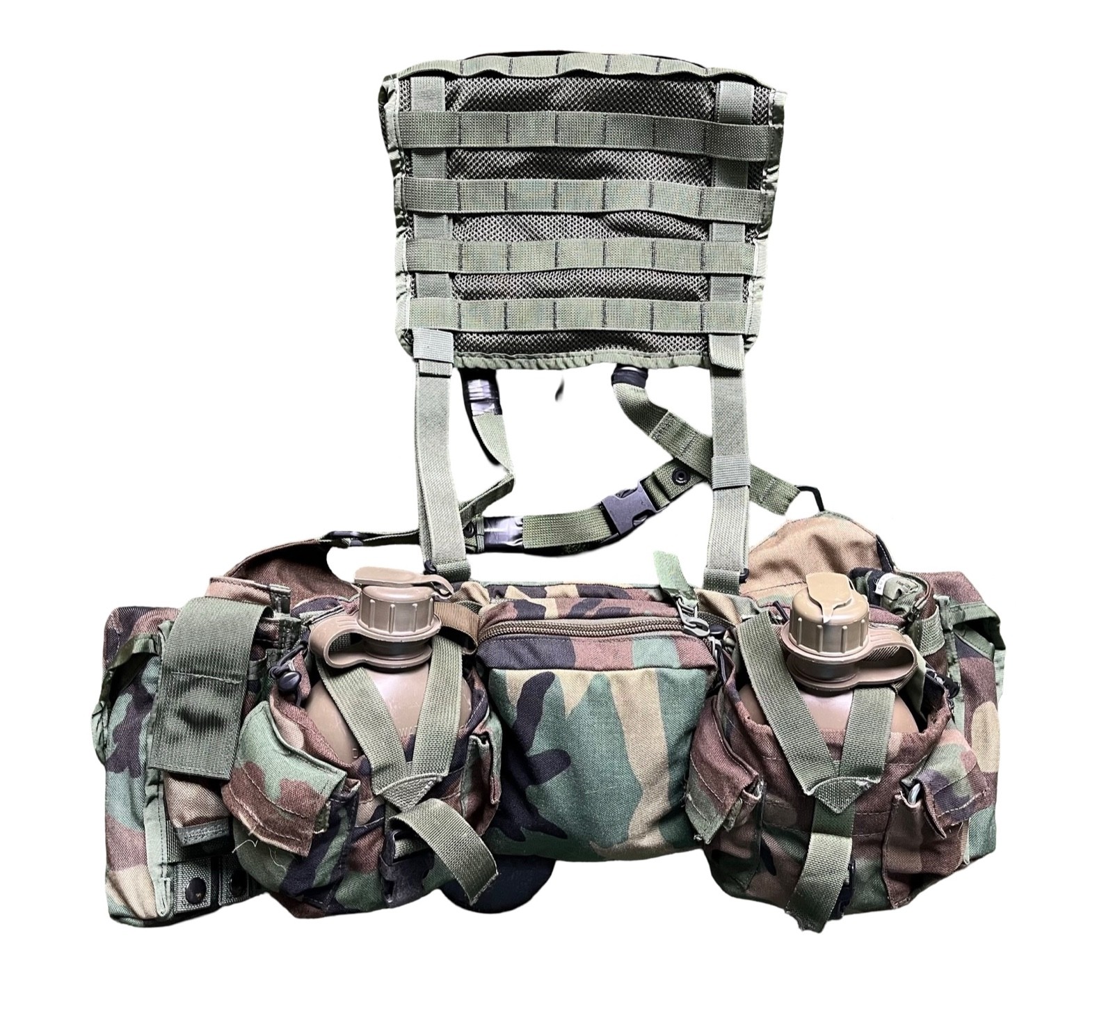 RARE OLDGEN SOF SPEAR Load Bearing Rig MOLLE M81 Woodland Camo Safariland ELCS