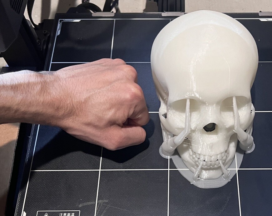 Glow In the Dark Human Skull! (Good Quality:3DP:White-PLA) GREEN OR BLUE GLOW!