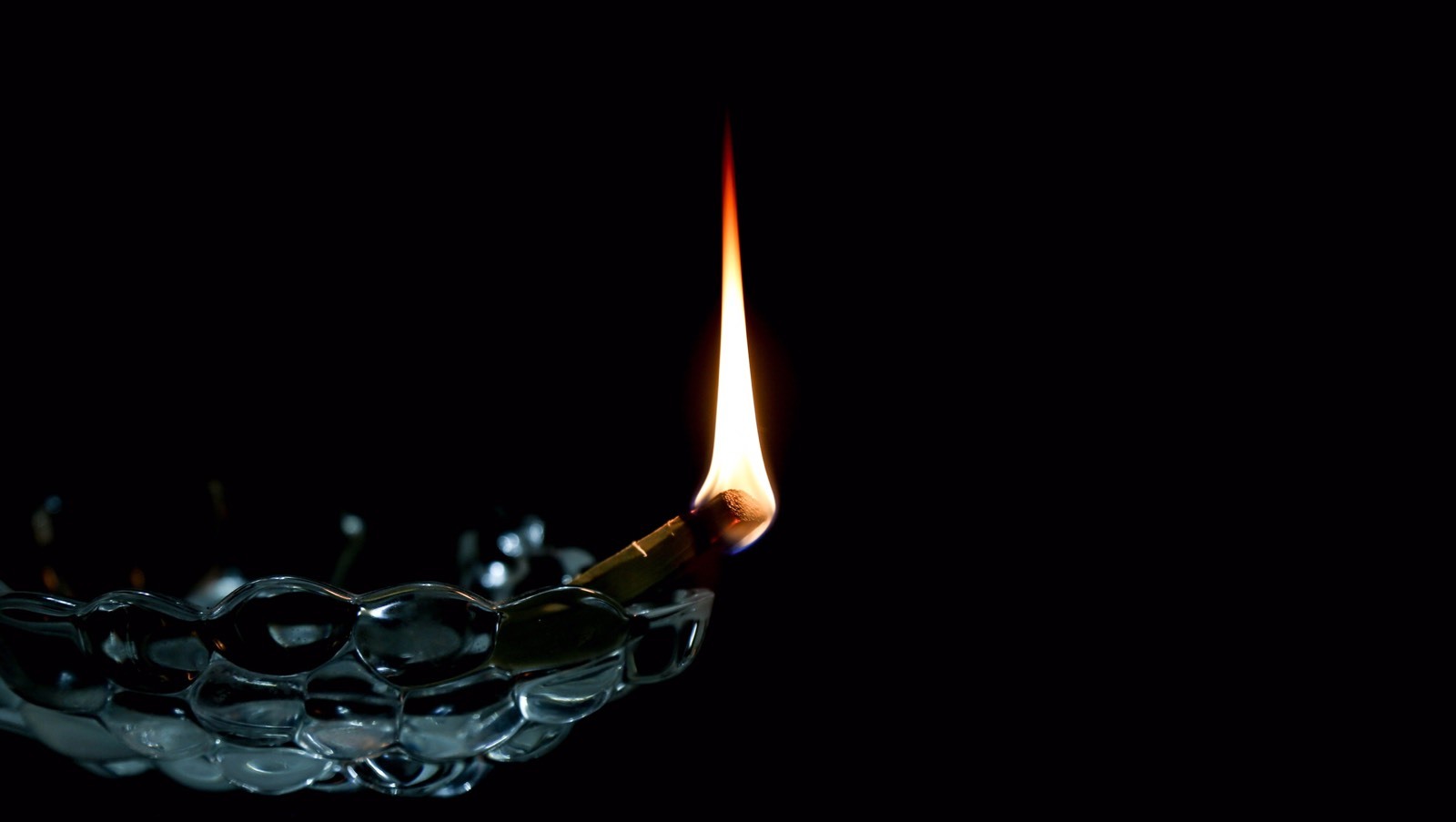 Palo Santo Incense 38 (STICKS APPROX) 1/2 lb SIZE BAG(4+inches long)