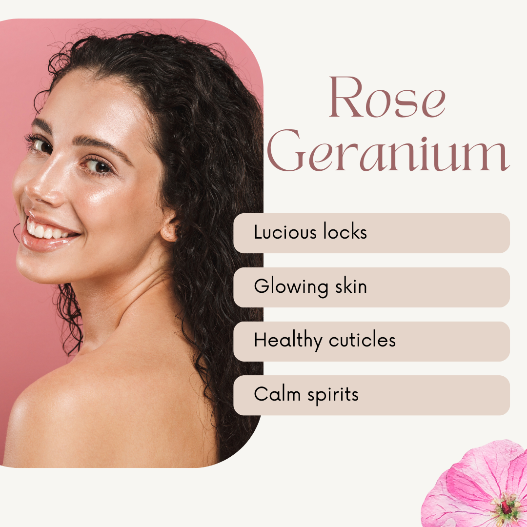 Rose Geranium Essential Oil 100% Pure Many Sizes Free Shipping