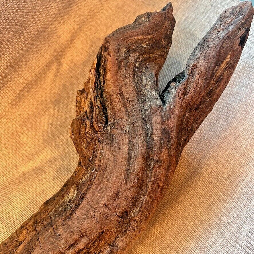 18" x 5" Redwood Driftwood Organic Craft Aquarium Rustic Boho Natural Wood