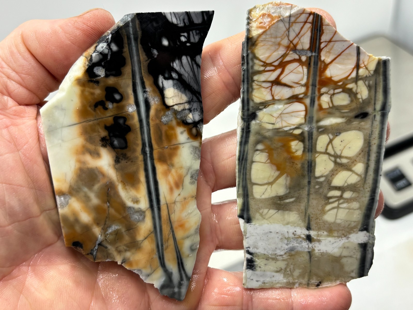 Picasso Marble (Jasper) Slabs Cabbing Lapidary Utah Combo Ship Avail