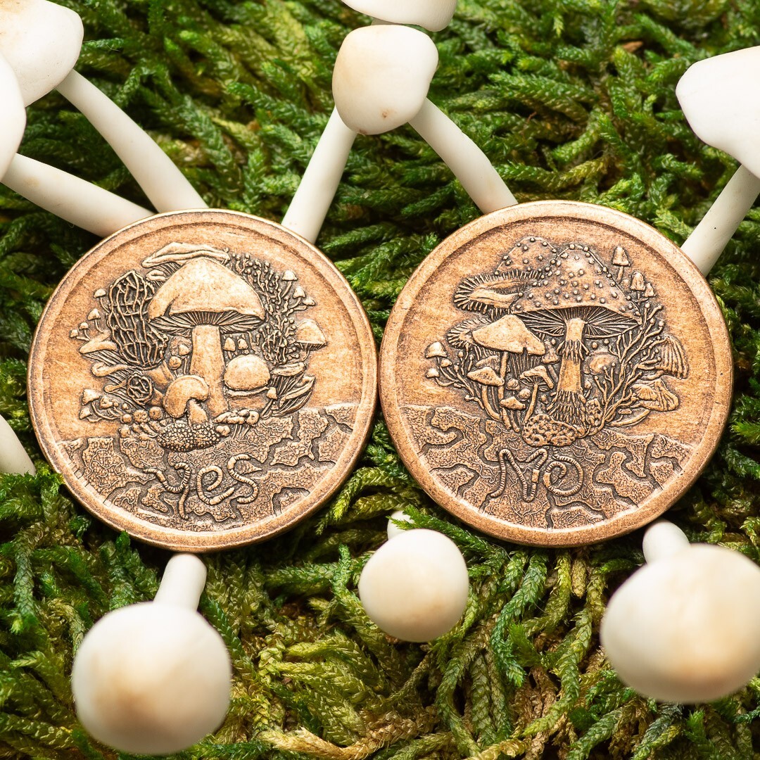 Fungible Token Decision Maker Coin in Solid Copper - Mushroom Coin