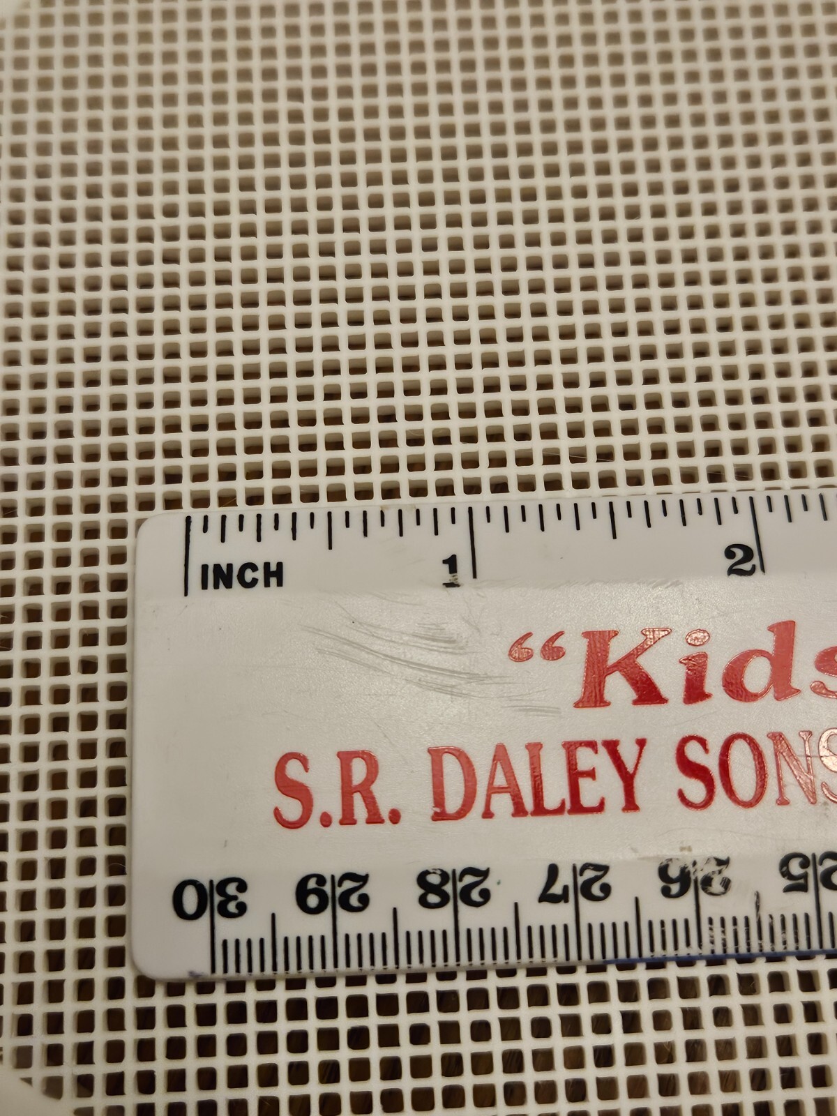 PVC Pipe Cap with Lip, fits Inside Pipes, All Plastic Mesh Screen, Many Sizes