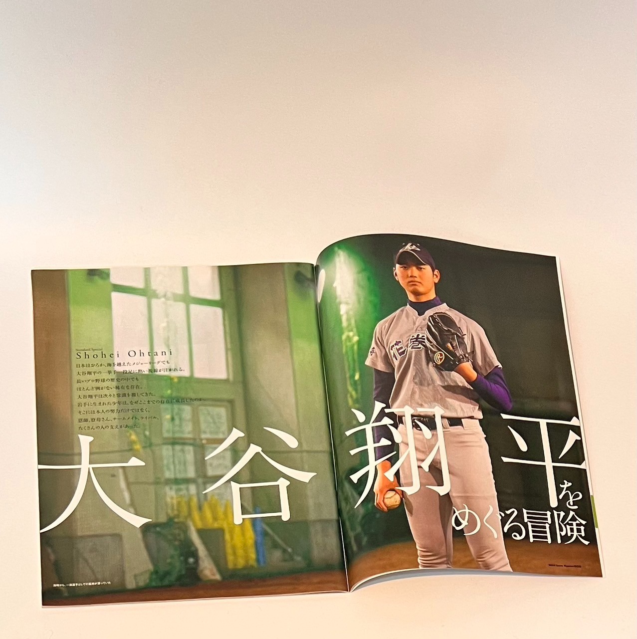 1 Day Ship Shohei Ohtani 2012 2013 2017 STANDARD Magazines High School Baseball